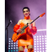 ST_ VINCENT